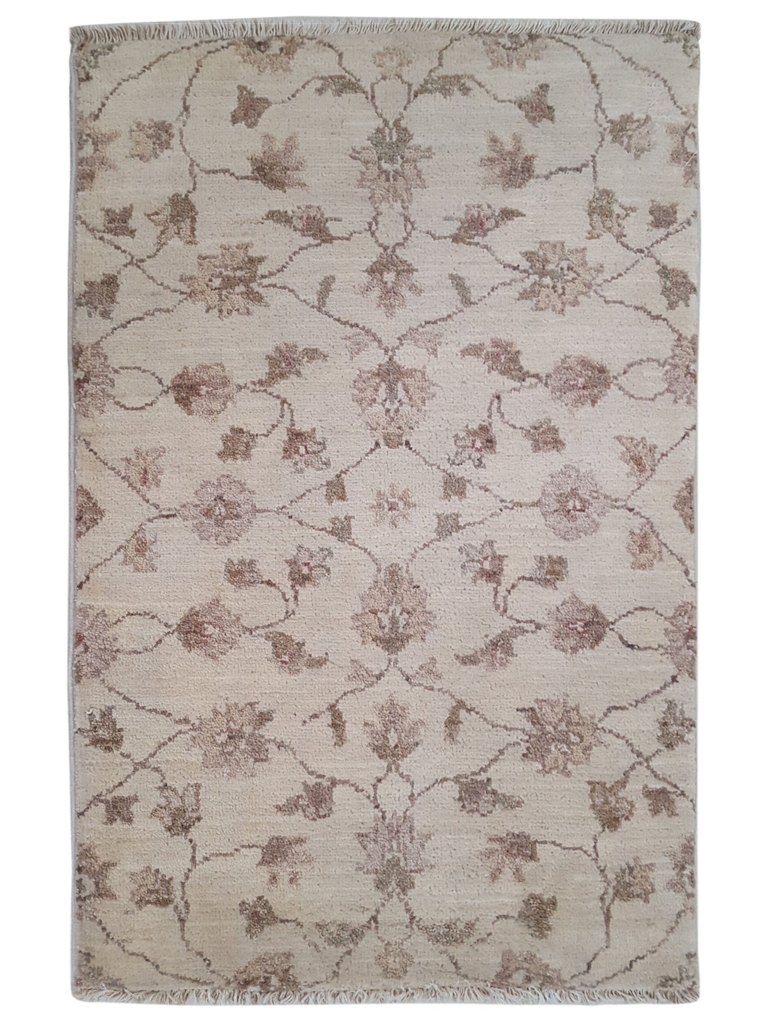 Pacific Ziegler Ivory Ivory Transitional