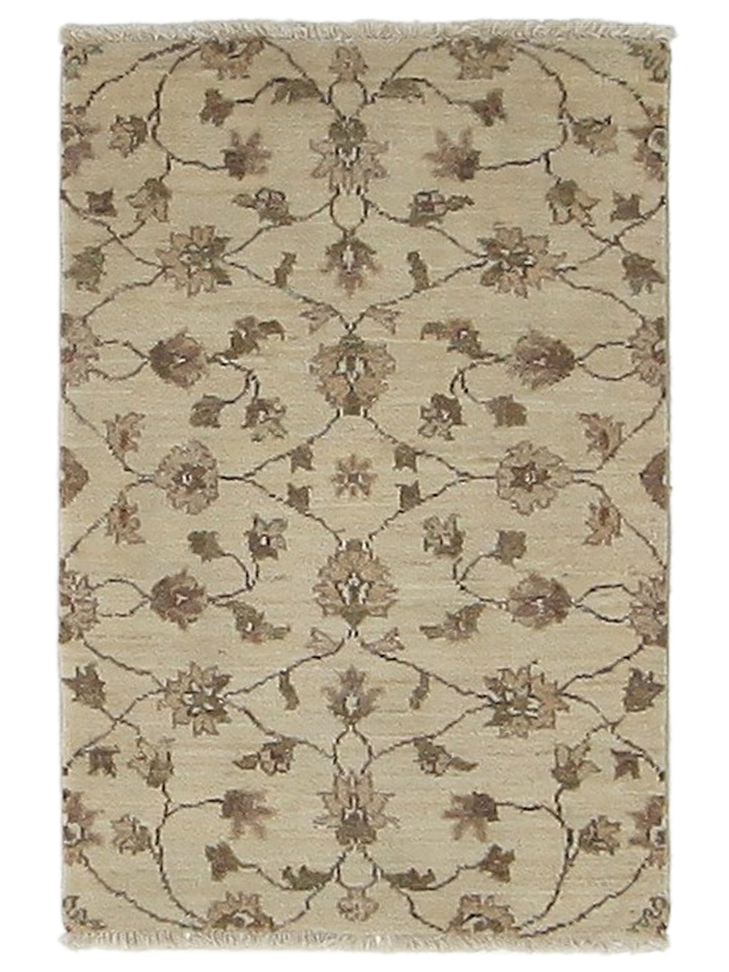 Pacific Ziegler Ivory Ivory Transitional