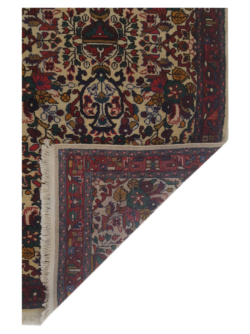 Pacific Hamadan 67406 Beige Red Traditional Hand Knotted Rug