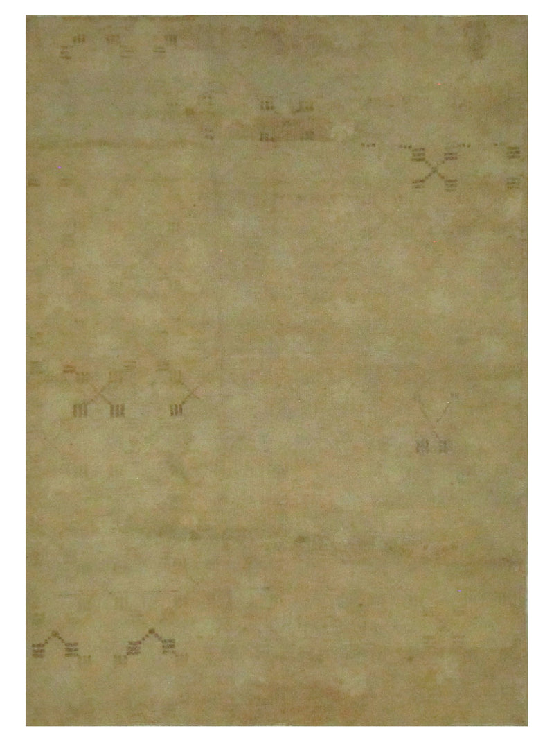 Pacific Anatolia Camel Camel Transitional