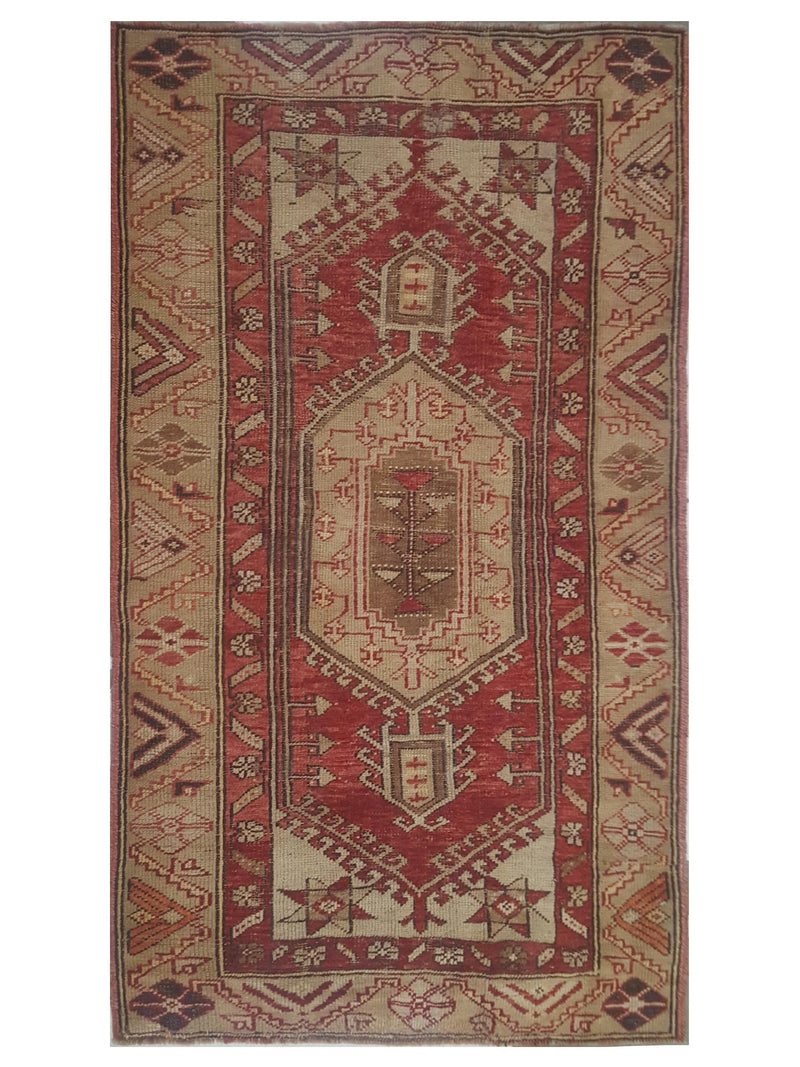 Pacific Anatolia Red Camel Transitional