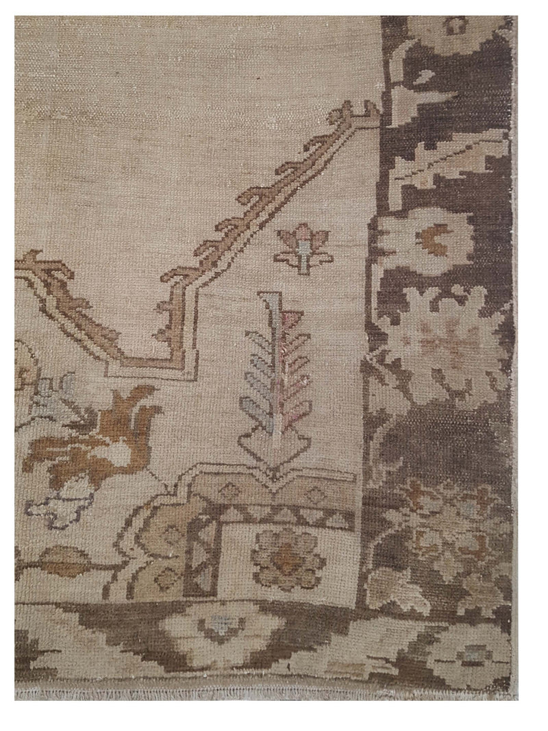 Pacific Kars 73683 Camel Latte Transitional Hand Knotted Rug
