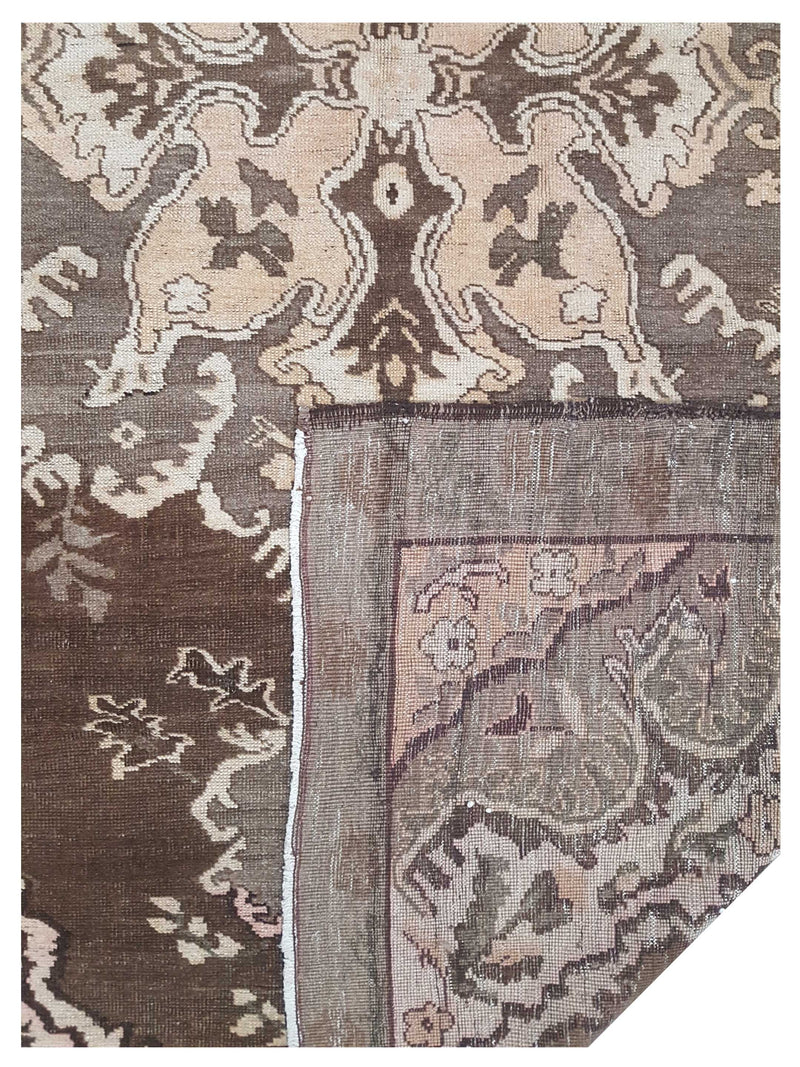 Pacific Kars 73837 Beige Brown Transitional Hand Knotted Rug