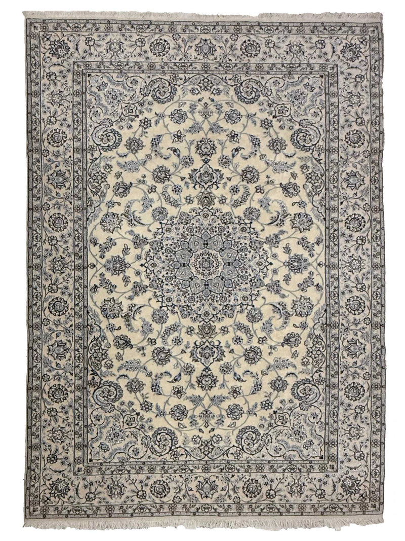 Pacific Nain Ivory Ivory Traditional
