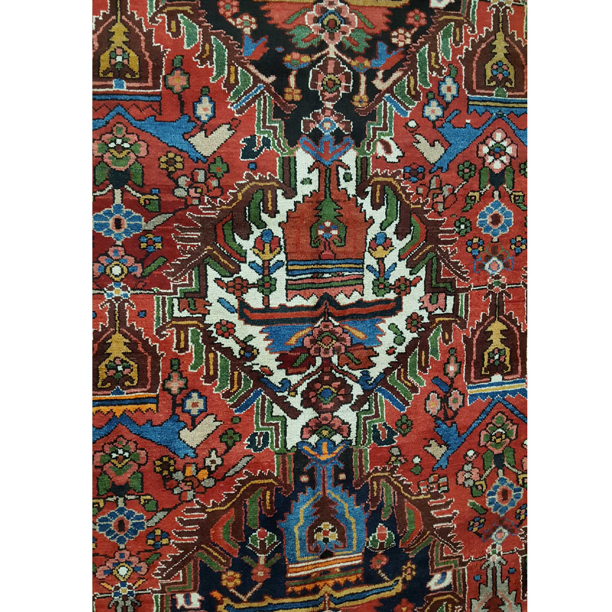 Fasa Antique Bakhtiyari 3701 Red Red Traditional Antique Rug