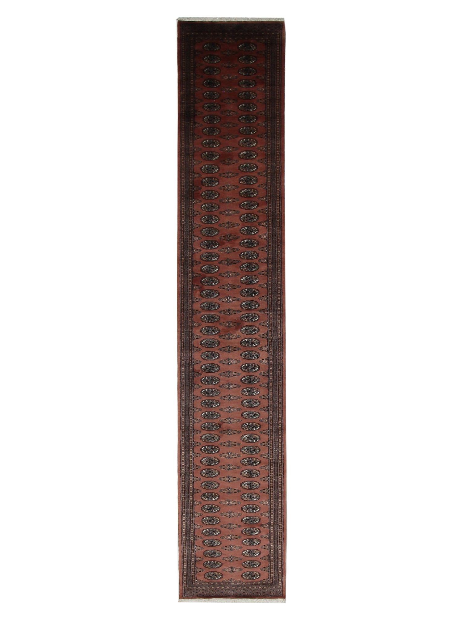 Pacific Bokhara  Copper Brown Traditional