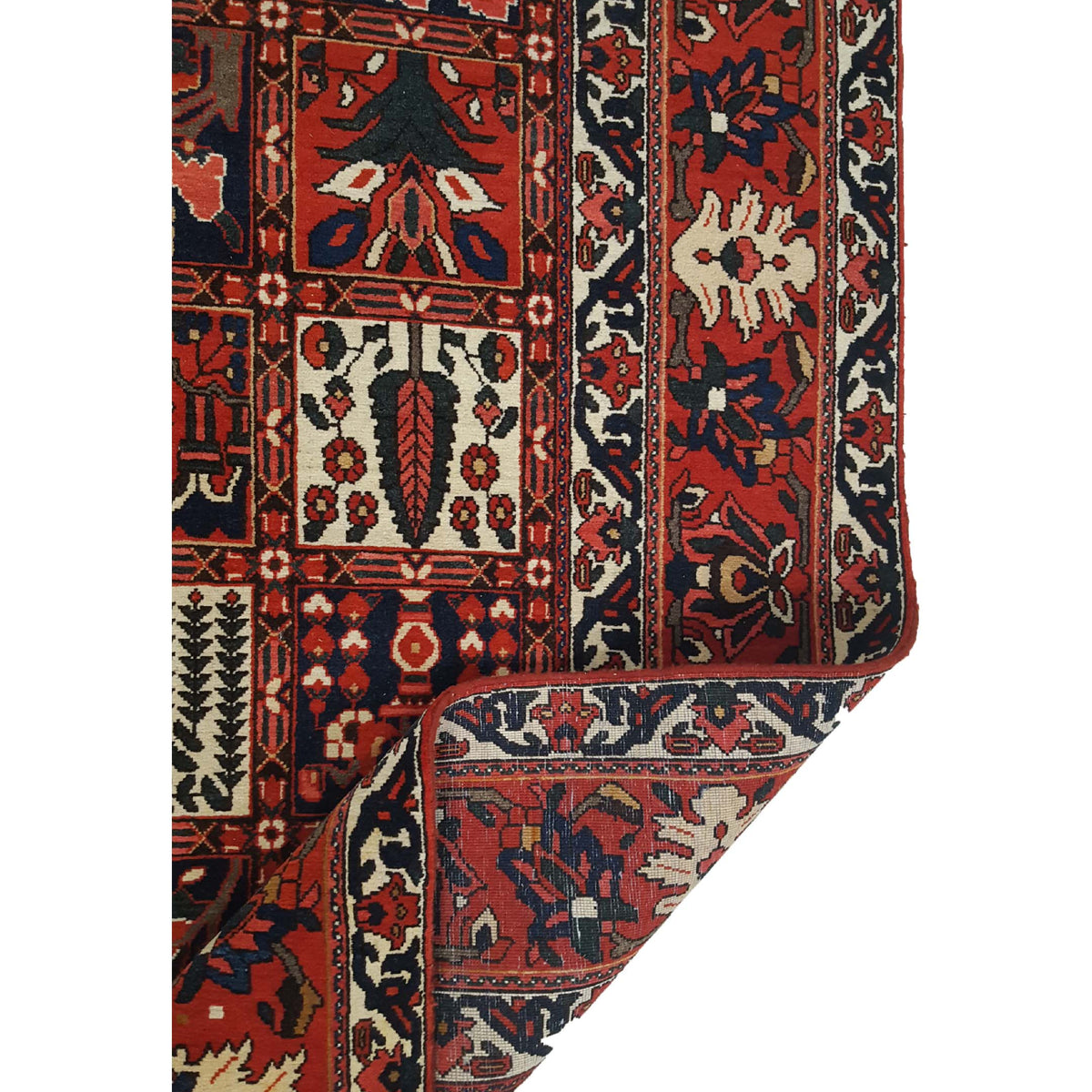 Pacific Bakhtiyari 13665 Red Ivory Traditional Hand Knotted Rug