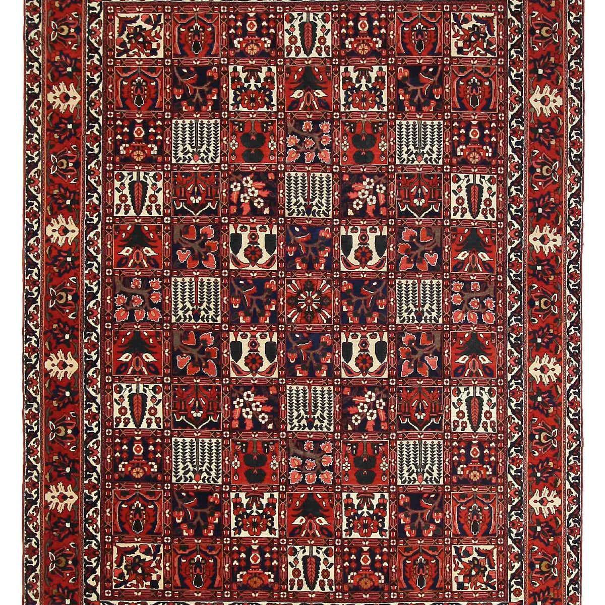 Pacific Bakhtiyari  Red Ivory Traditional