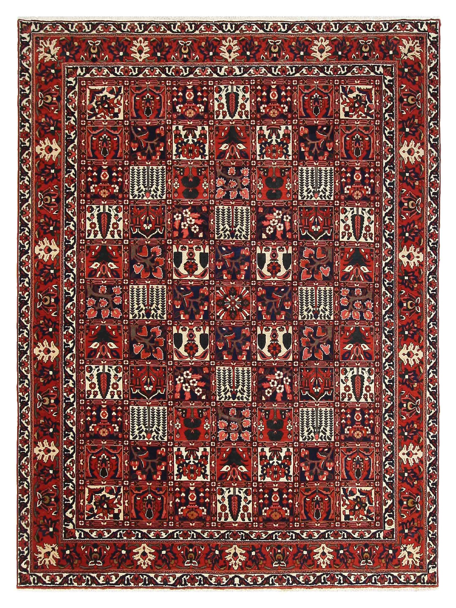 Pacific Bakhtiyari  Red Ivory Traditional