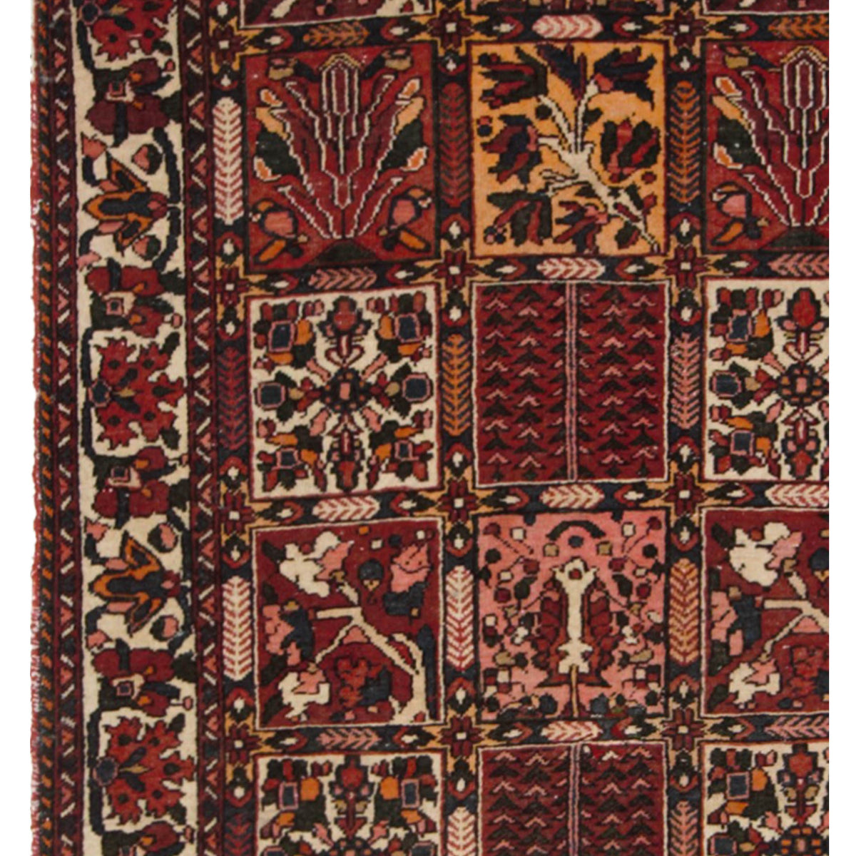 Pacific Bakhtiyari 13733 Multi Multi Traditional Hand Knotted Rug