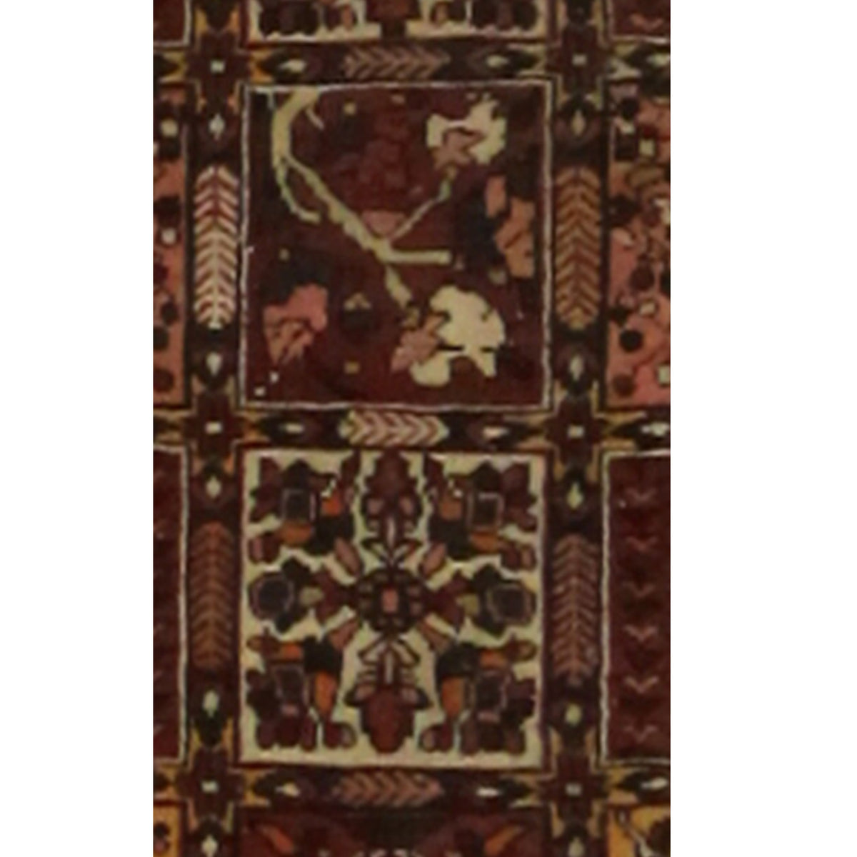 Pacific Bakhtiyari 13733 Multi Multi Traditional Hand Knotted Rug
