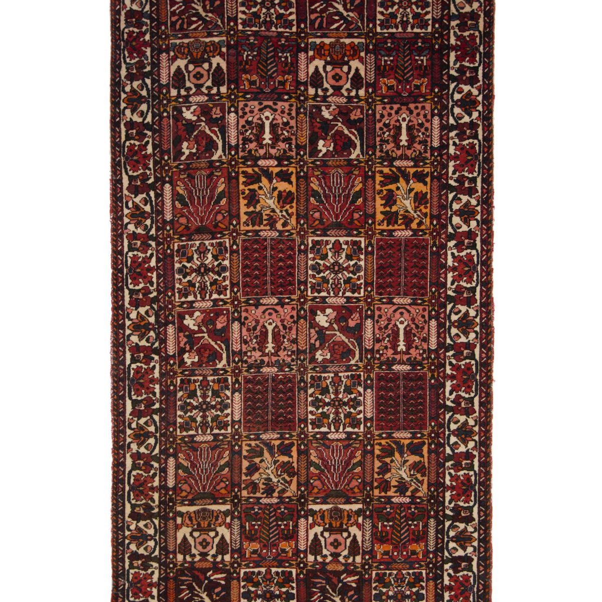 Pacific Bakhtiyari  Multi Multi Traditional