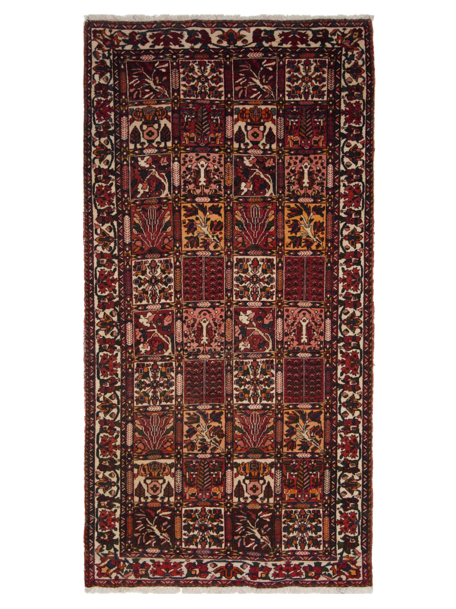 Pacific Bakhtiyari  Multi Multi Traditional