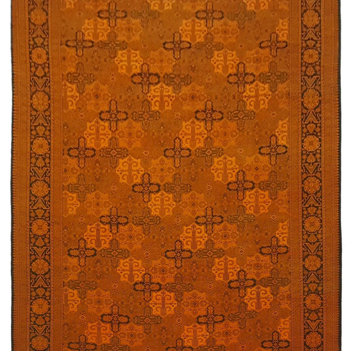 Pacific Jaipur  Orange Orange Transitional