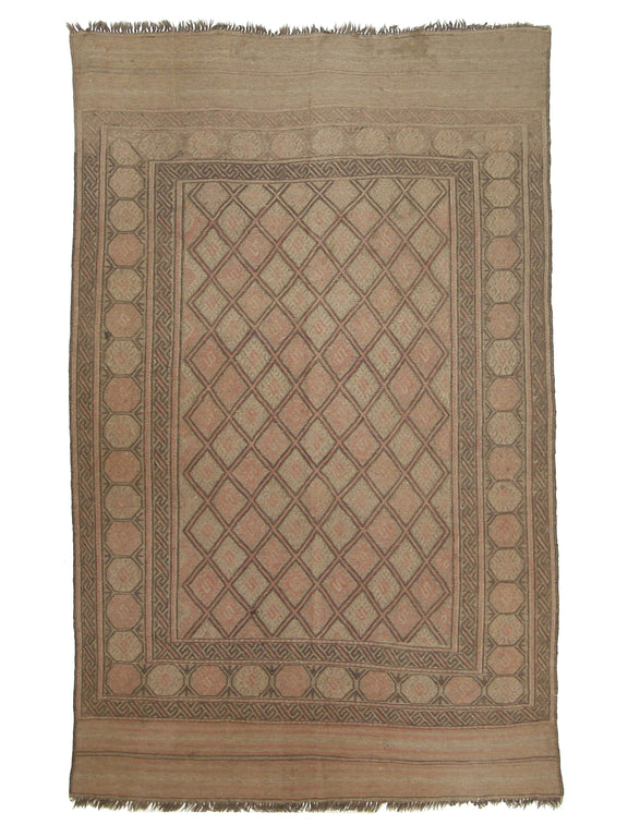 Pacific Uzbak  Brown Brown Transitional