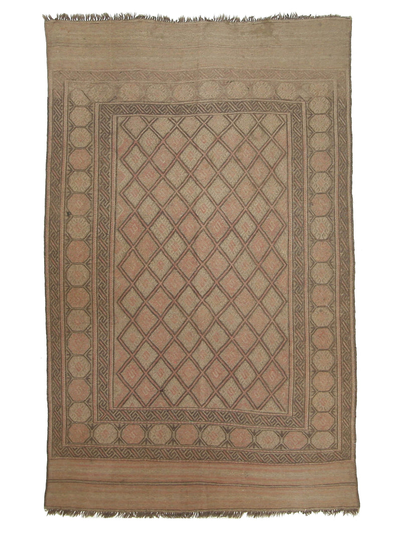 Pacific Uzbak  Brown Brown Transitional