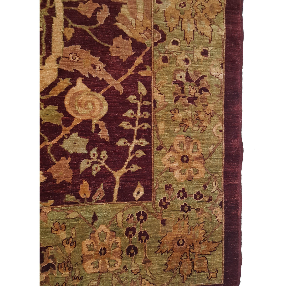 Pacific Ziegler 14389 Red Olive Traditional Hand Knotted Rug