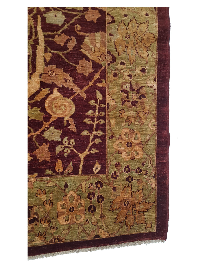 Pacific Ziegler 14389 Red Olive Traditional Hand Knotted Rug