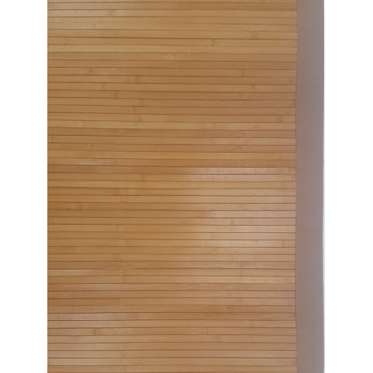 Pacific Bamboo 14427 Beige Beige Transitional Hand Knotted Rug