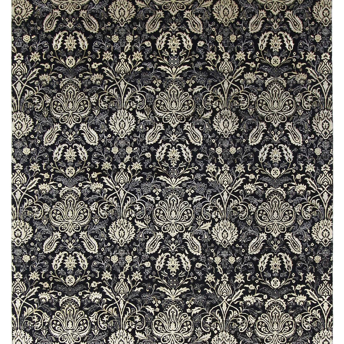 Pacific Venus  Black Black Transitional