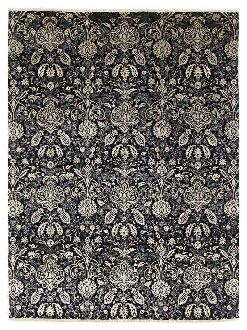 Pacific Venus  Black Black Transitional