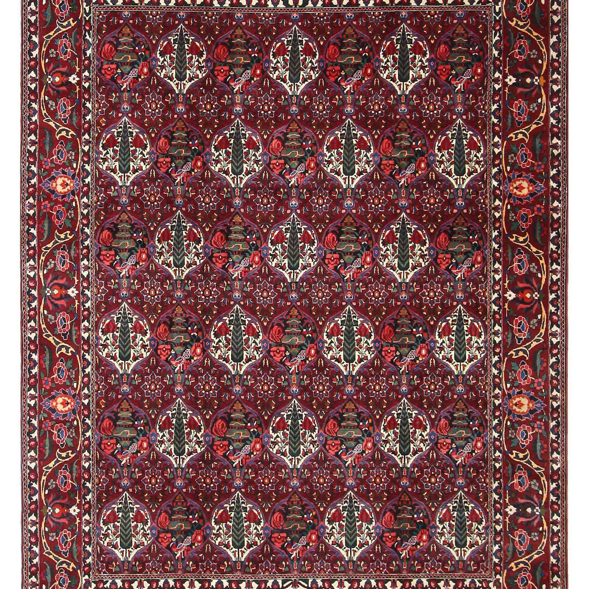 Pacific Bakhtiyari  Burgundy Multi Traditional
