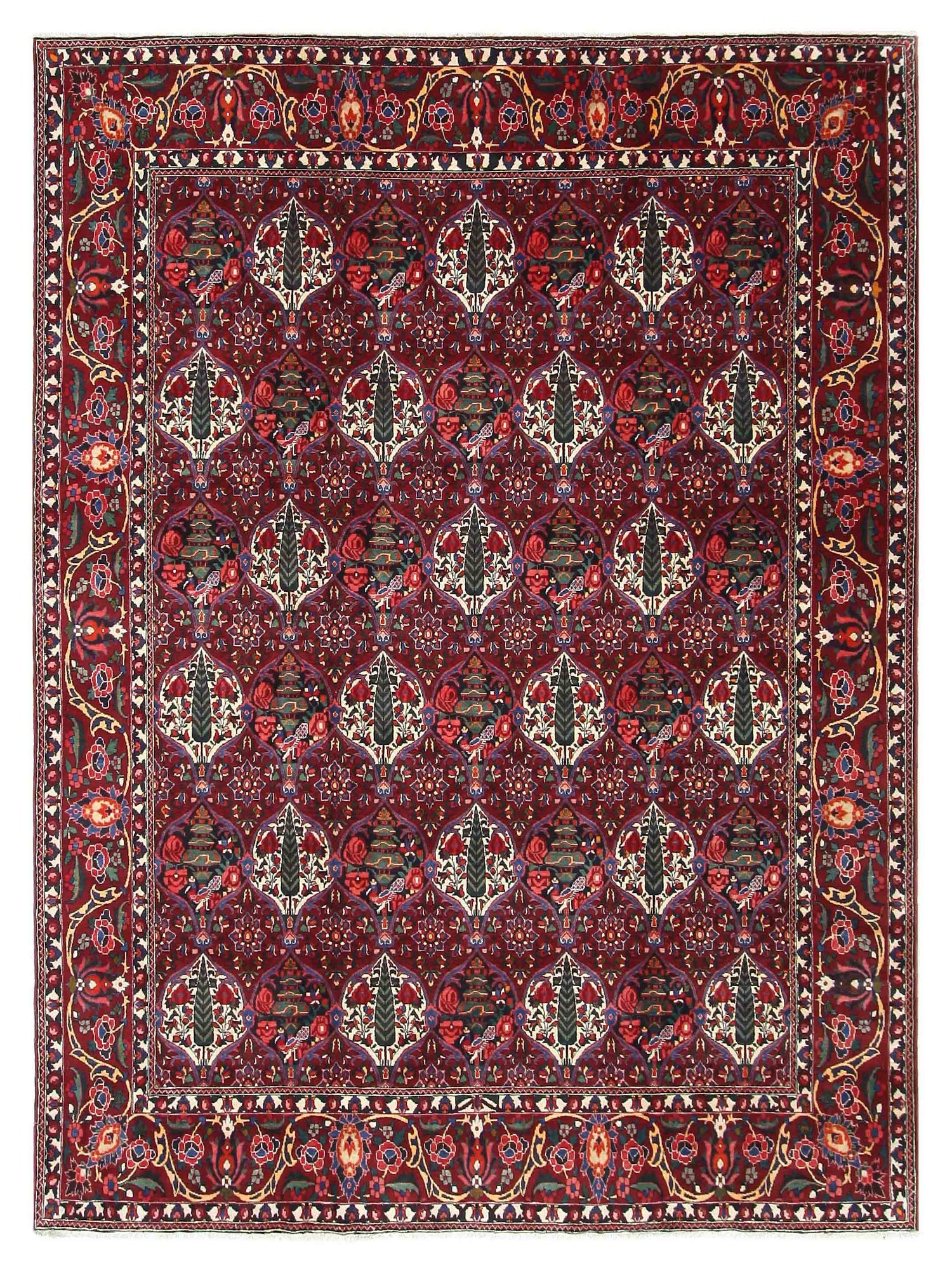 Pacific Bakhtiyari  Burgundy Multi Traditional