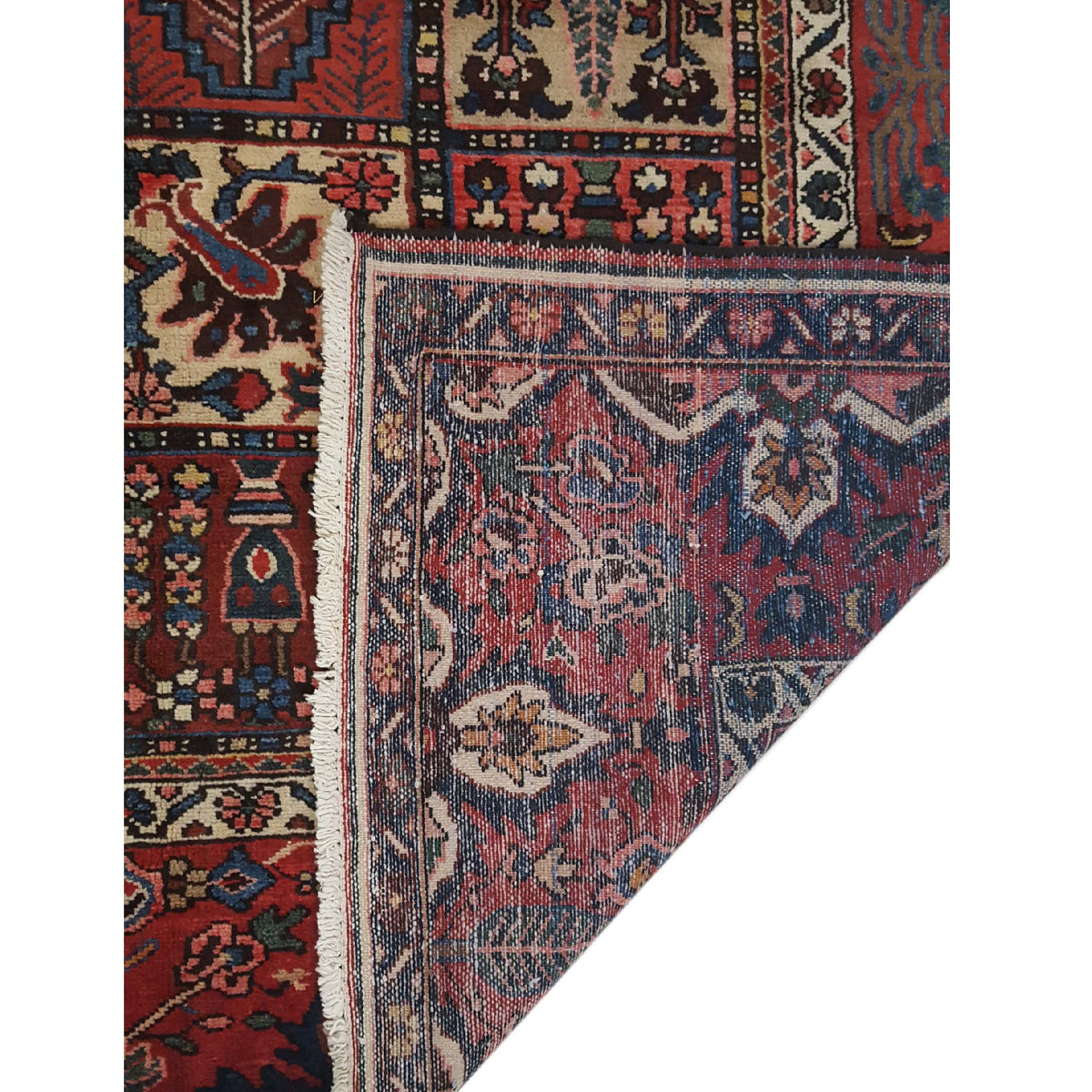 Pacific Bakhtiyari 14746 Rust Red Traditional Hand Knotted Rug