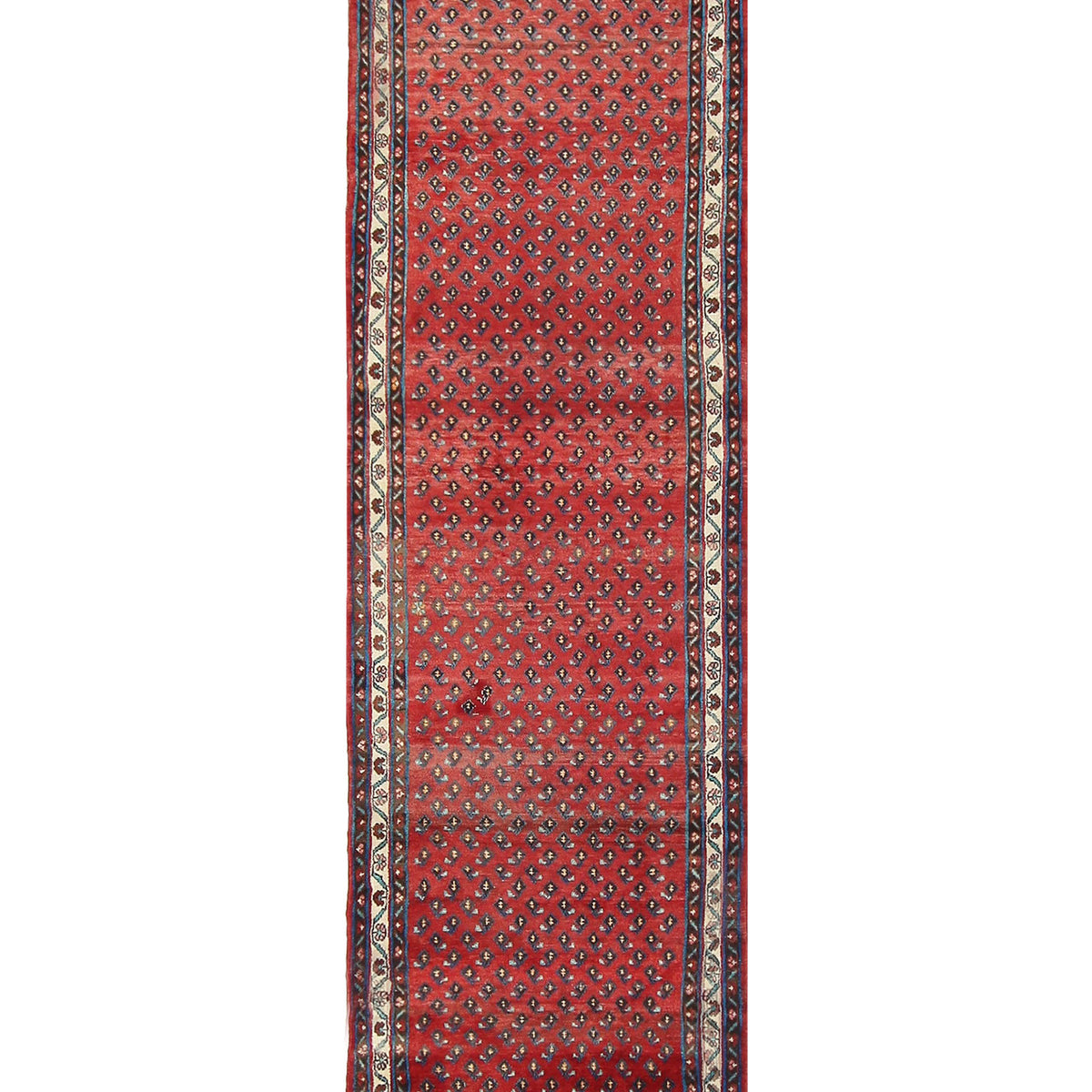 Pacific Sarouk Mir  Red Ivory Traditional