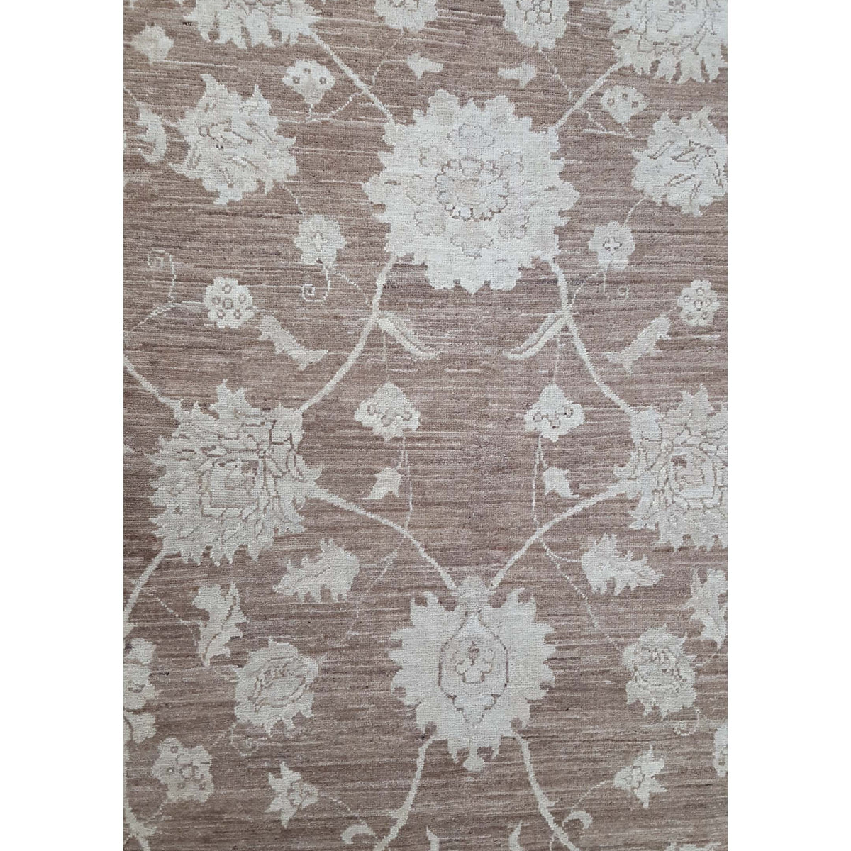 Pacific Tabriz-Pk 16646 Lt.Brown Ivory Transitional Hand Knotted Rug
