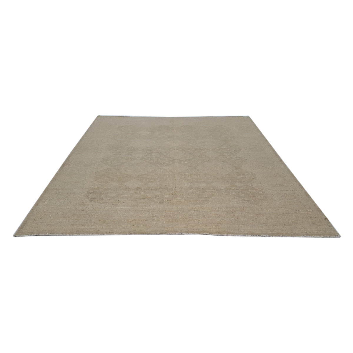 Pacific Tabriz-Pk 16649 Beige Beige Transitional Hand Knotted Rug