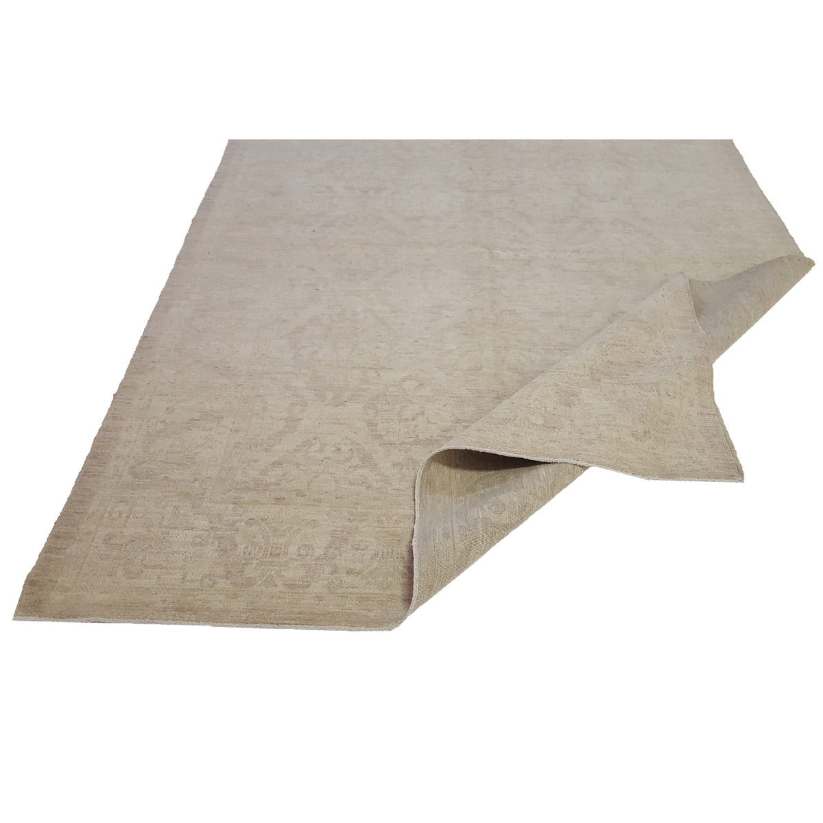 Pacific Tabriz-Pk 16658 Ivory Ivory Transitional Hand Knotted Rug