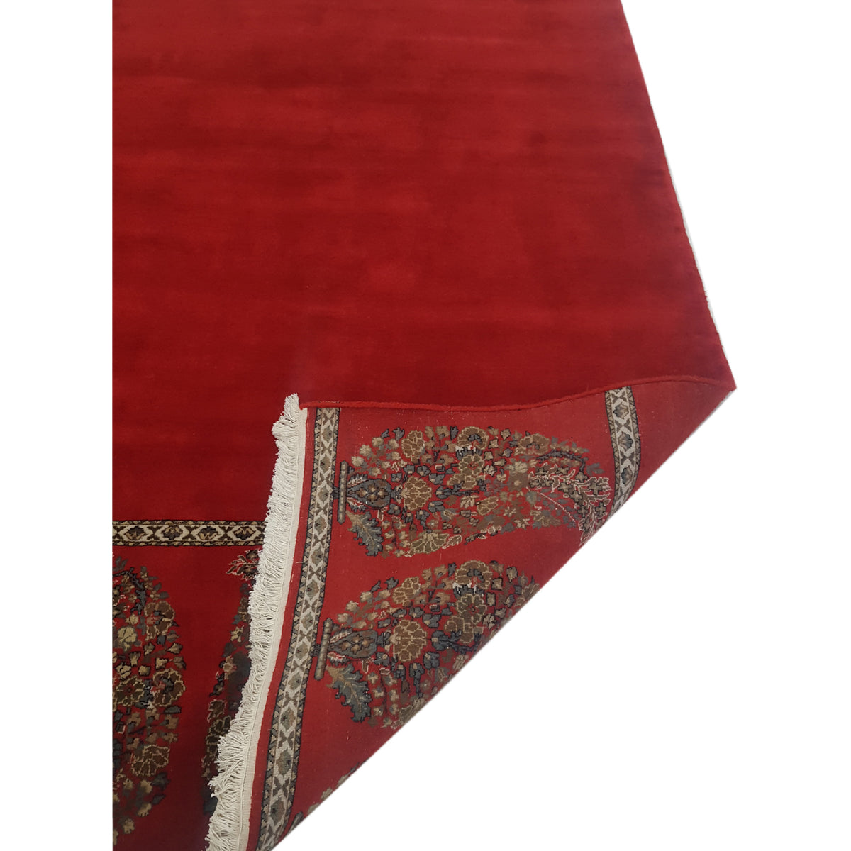 Pacific Paisley 16698 Red Multi Modern Hand Knotted Rug