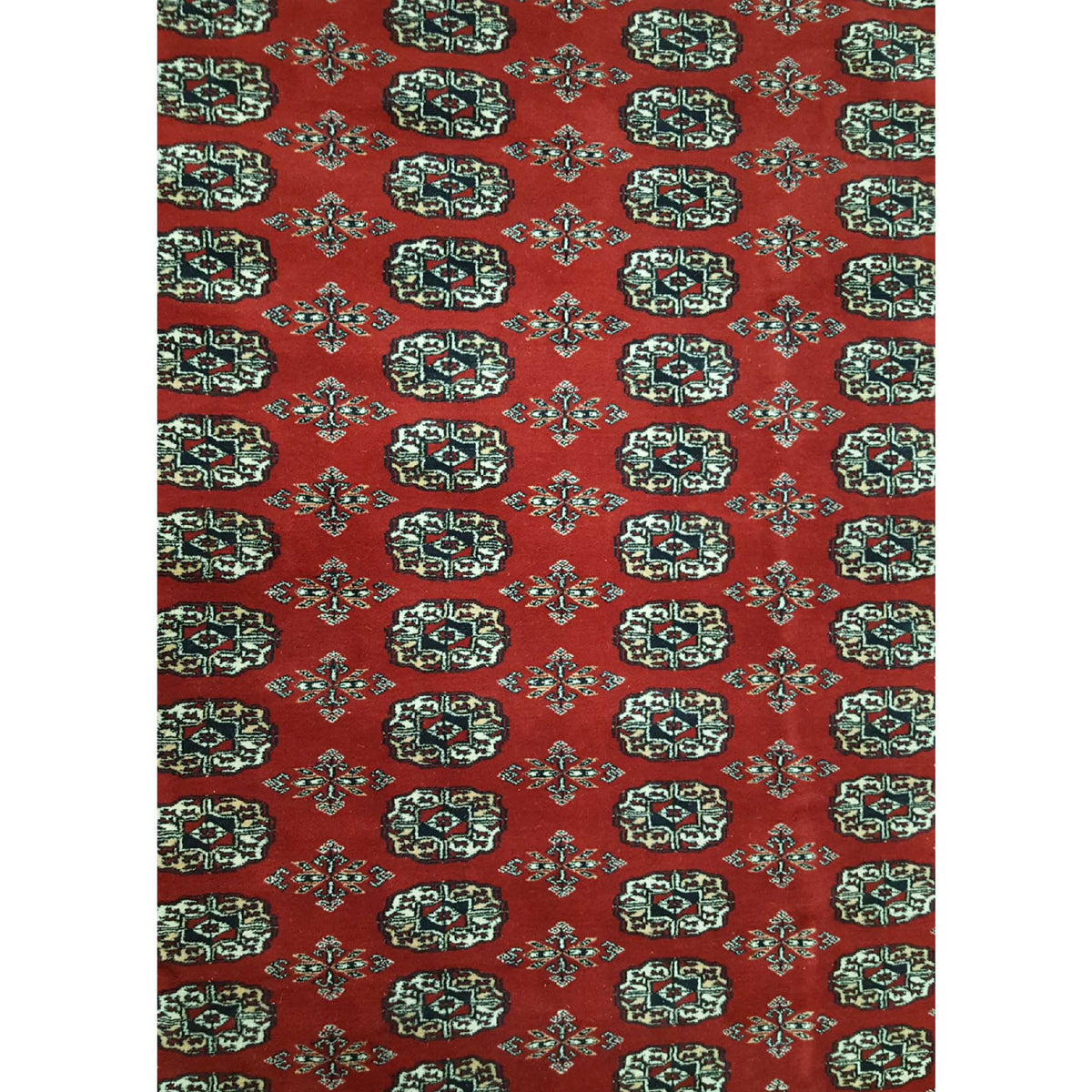 Pacific Bokhara 16701 Red Red Traditional Hand Knotted Rug
