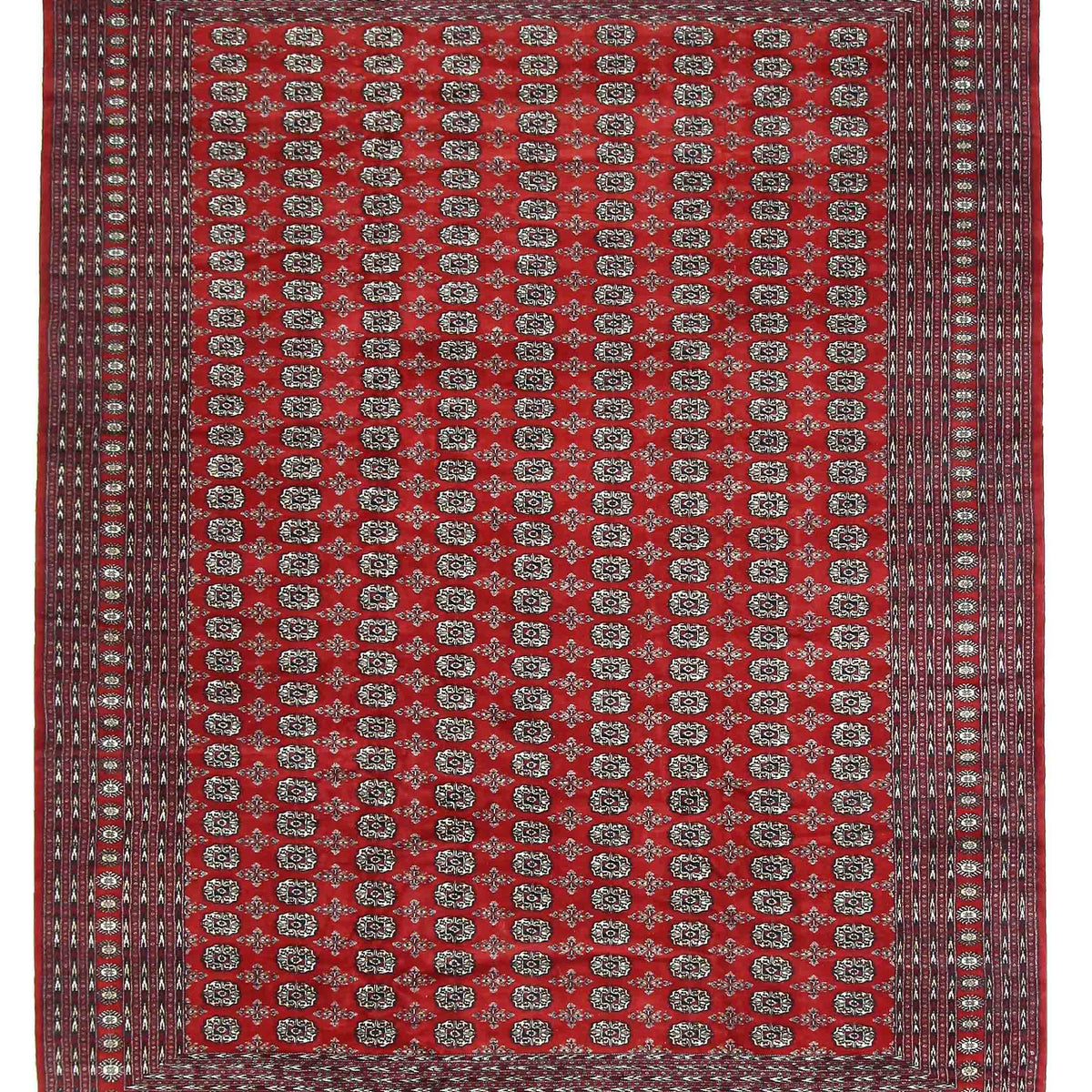Pacific Bokhara  Red Red Traditional