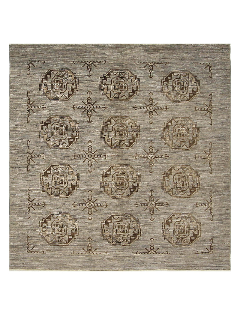 Pacific Tekke  Grey Grey Transitional