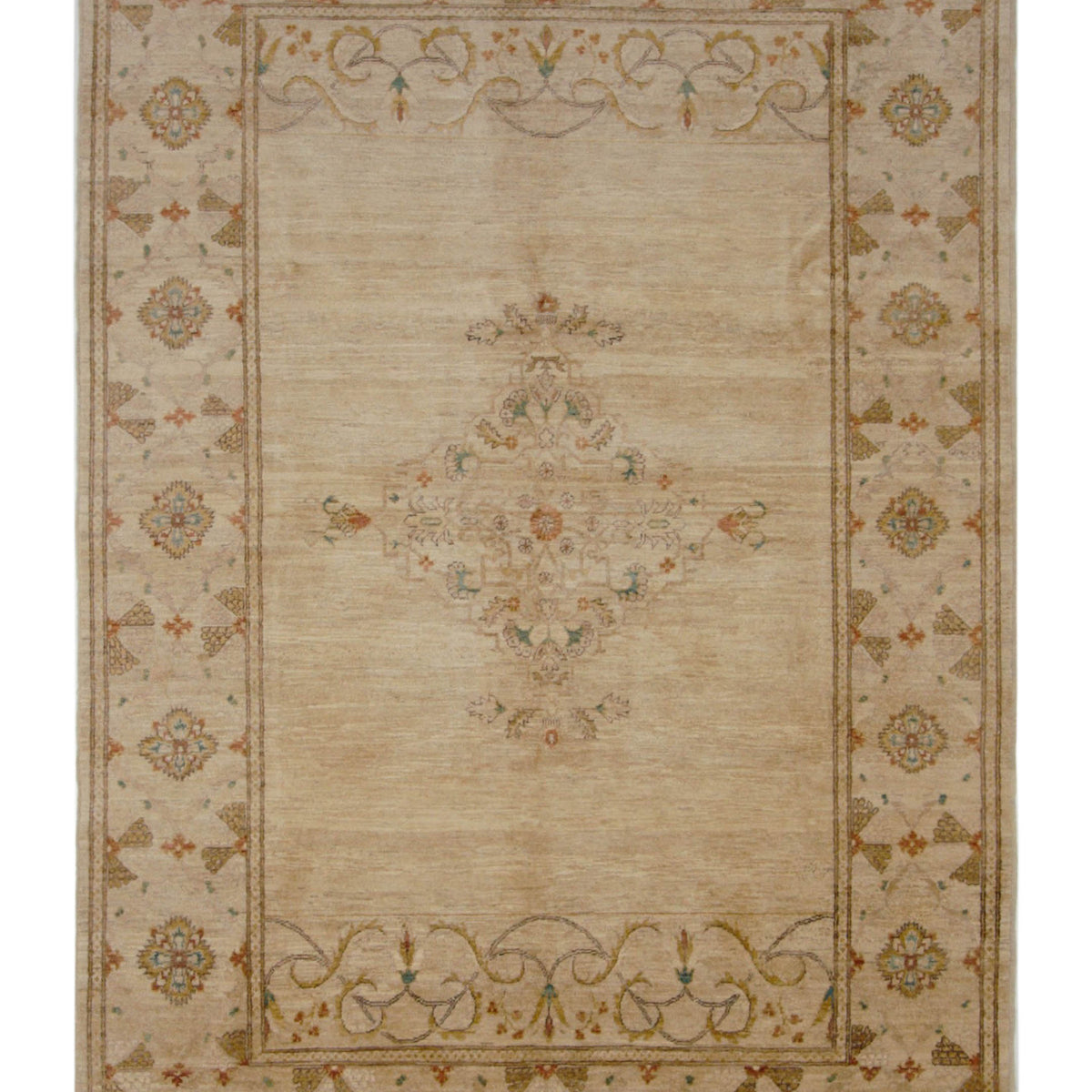 Pacific Ziegler  Beige Beige Transitional