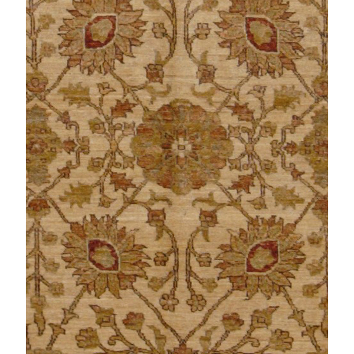Pacific Ziegler 17317 Beige Camel Transitional Hand Knotted Rug