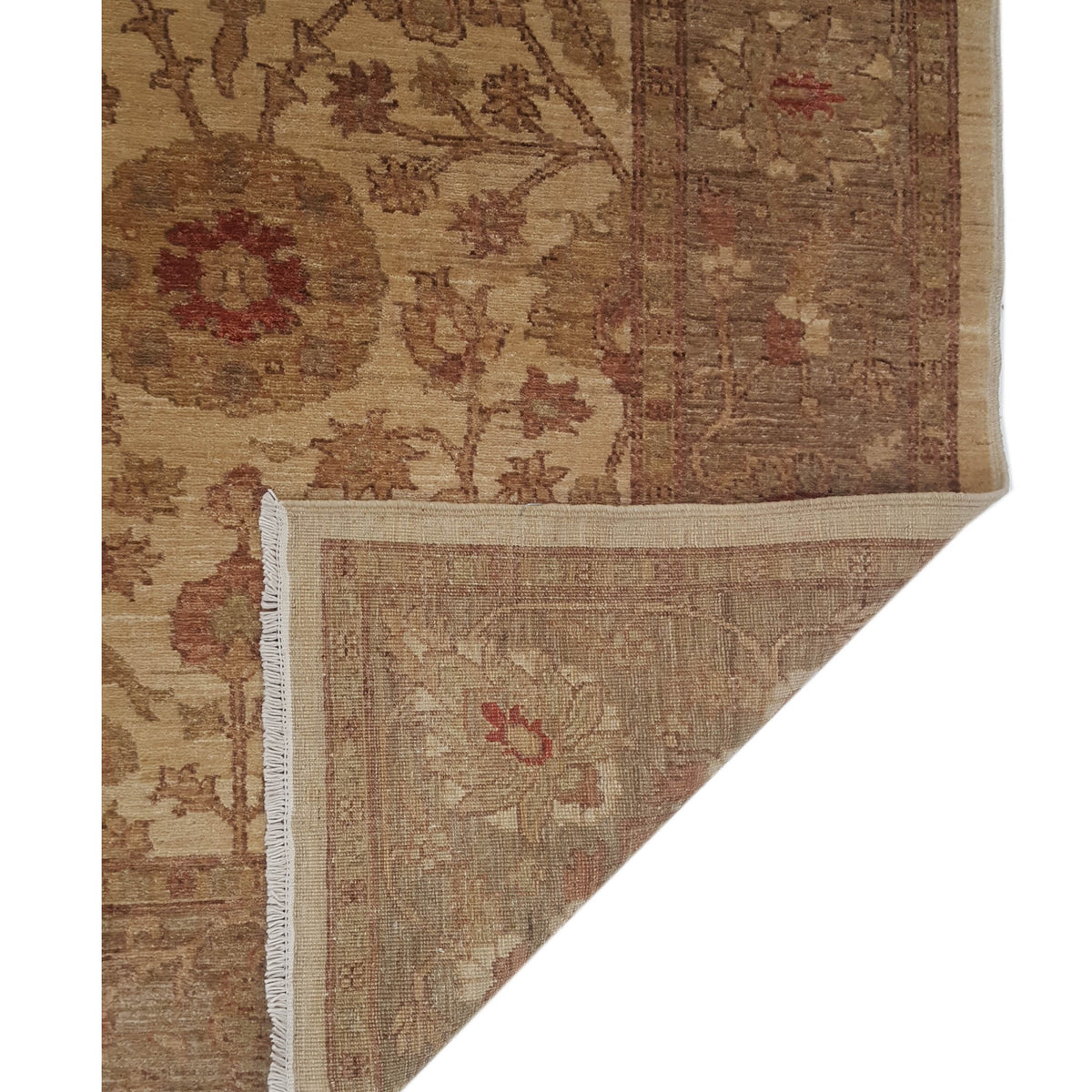 Pacific Ziegler 17317 Beige Camel Transitional Hand Knotted Rug