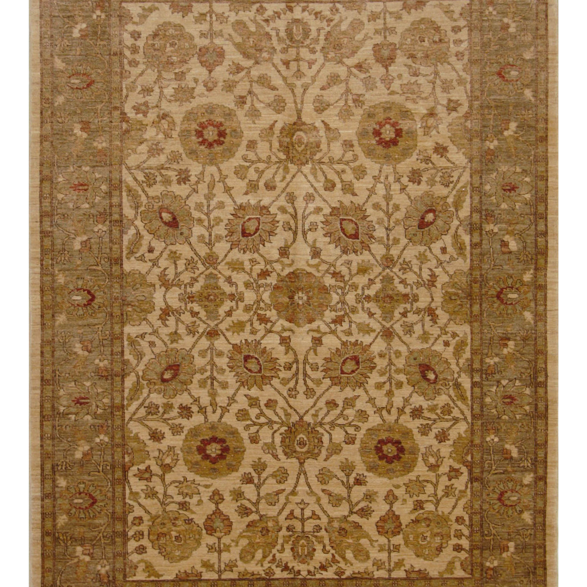 Pacific Ziegler  Beige Camel Transitional