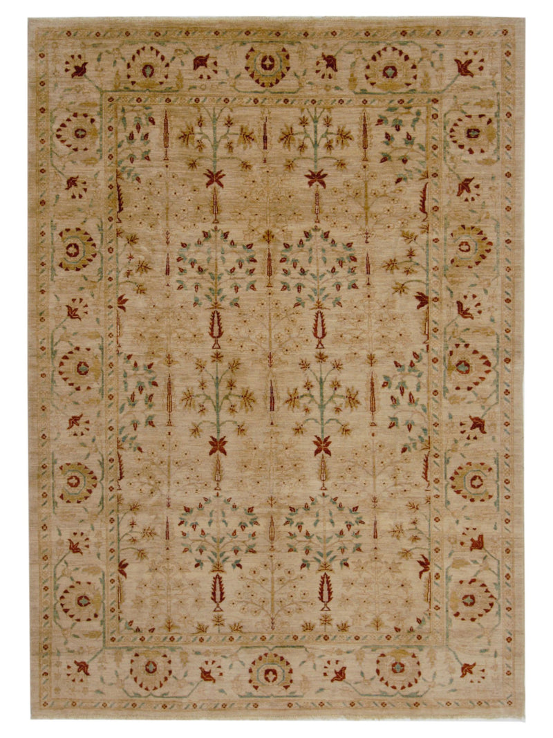 Pacific Ziegler  Beige Beige Transitional