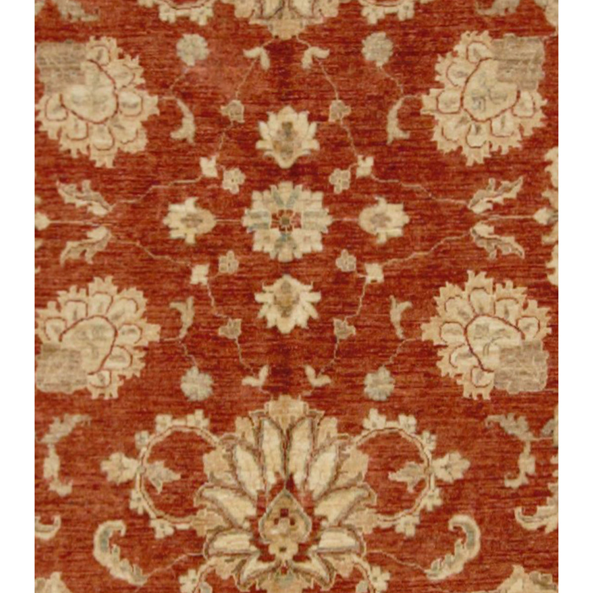 Pacific Ziegler 17322 Rust Beige Transitional Hand Knotted Rug