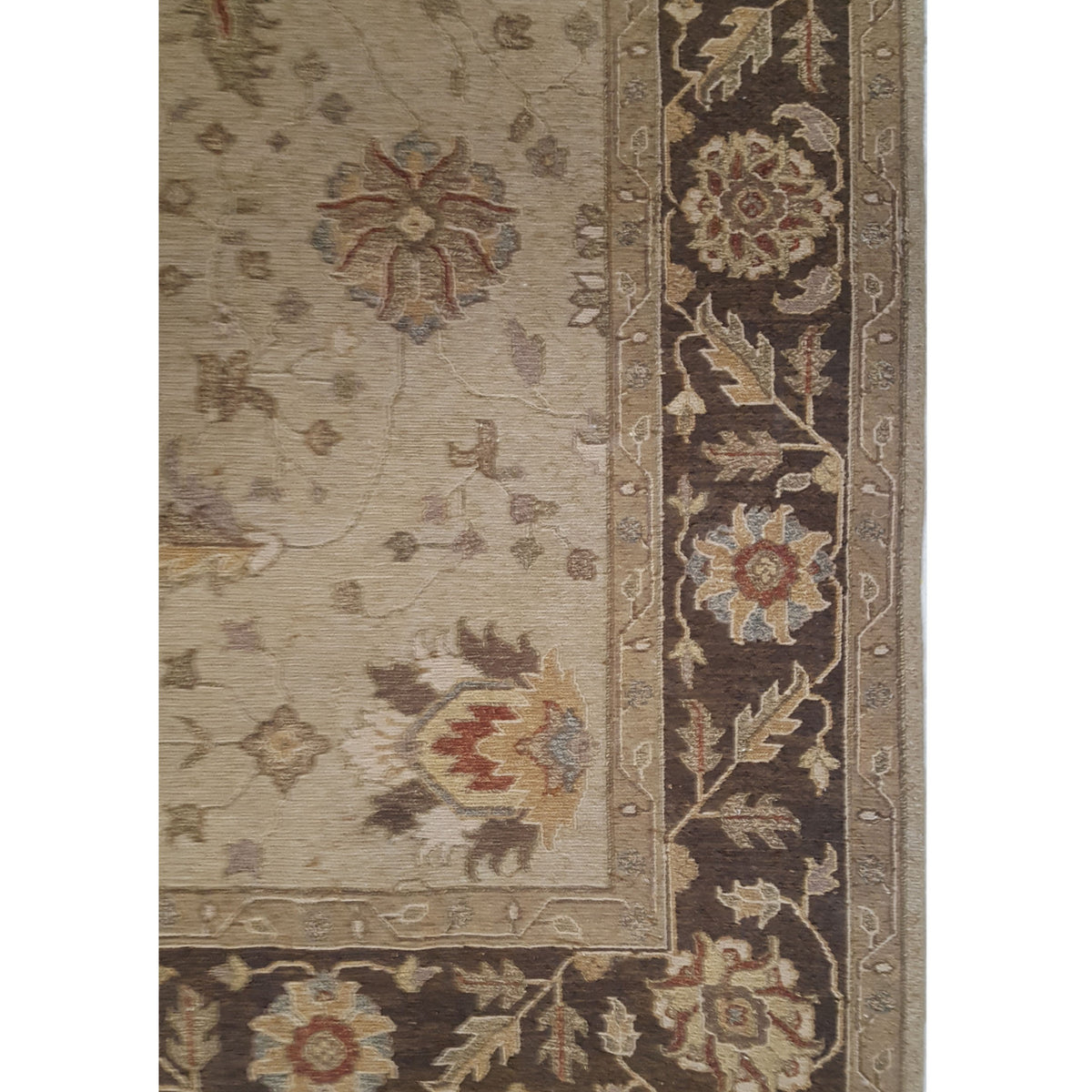 Pacific Summak 17327 Tan Brown Traditional Hand Knotted Rug