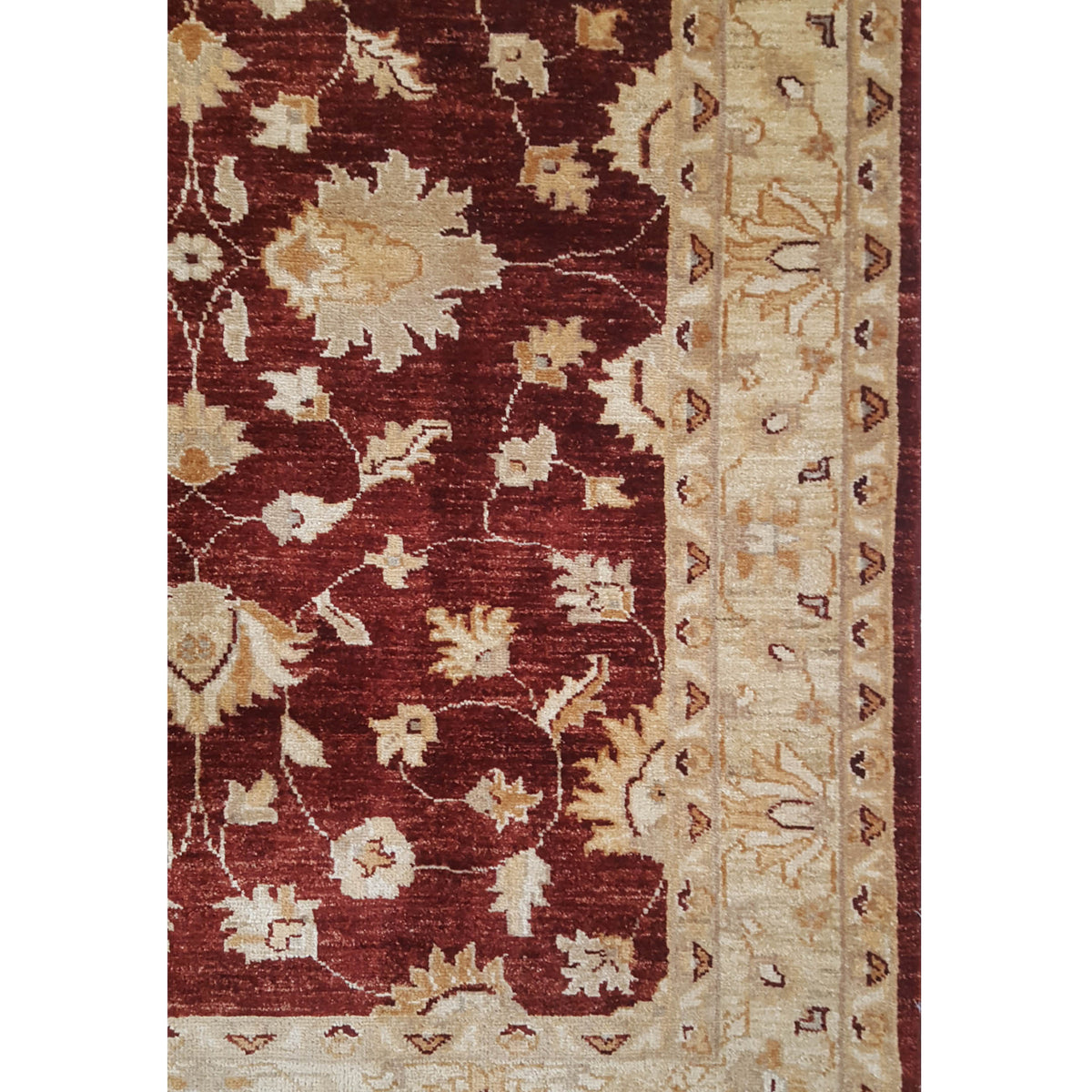 Pacific Ziegler 17328 Burgundy Beige Transitional Hand Knotted Rug