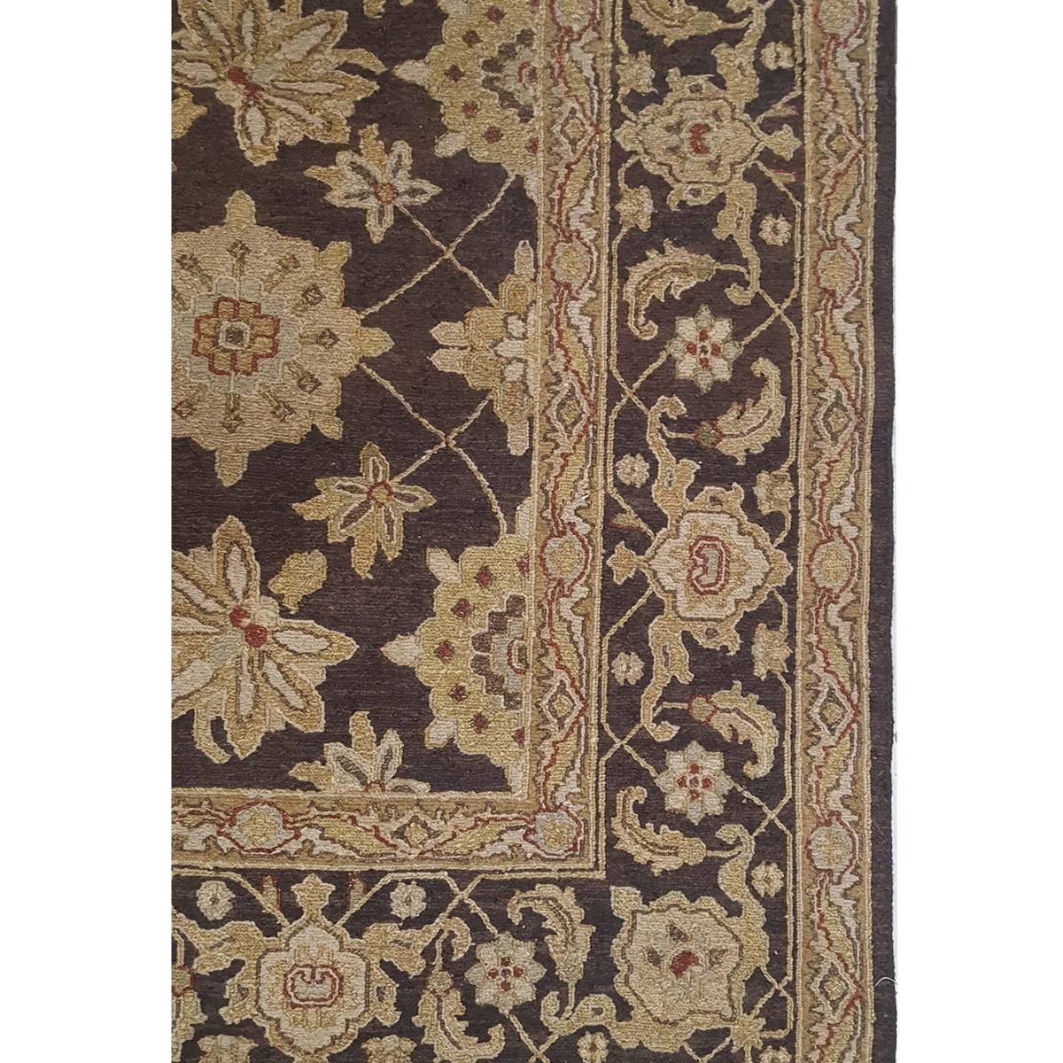 Pacific Royal 17329 Beige Brown Transitional Hand Knotted Rug