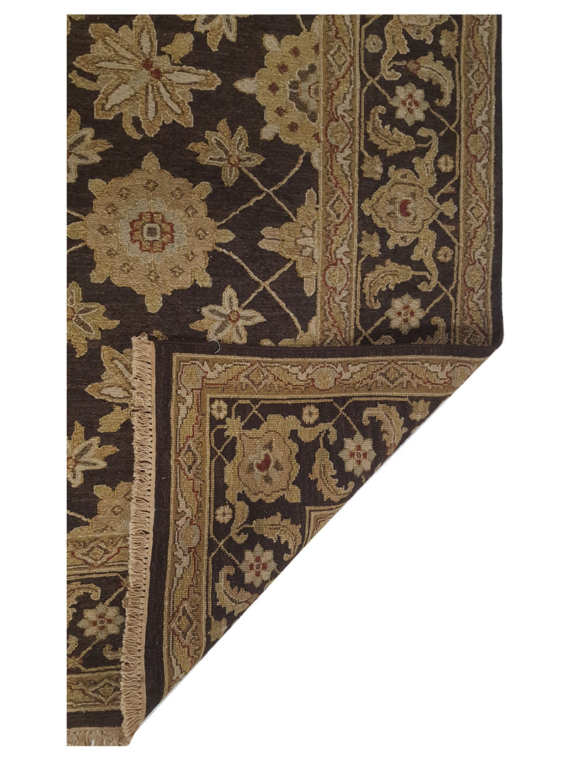 Pacific Royal 17329 Beige Brown Transitional Hand Knotted Rug