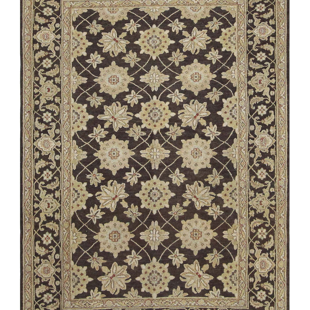 Pacific Royal  Beige Brown Transitional