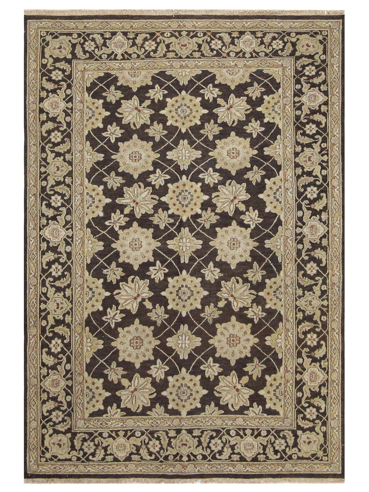 Pacific Royal  Beige Brown Transitional