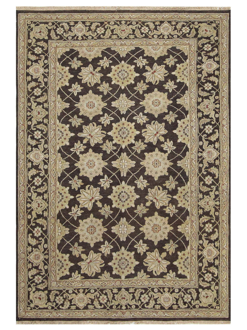 Pacific Royal  Beige Brown Transitional