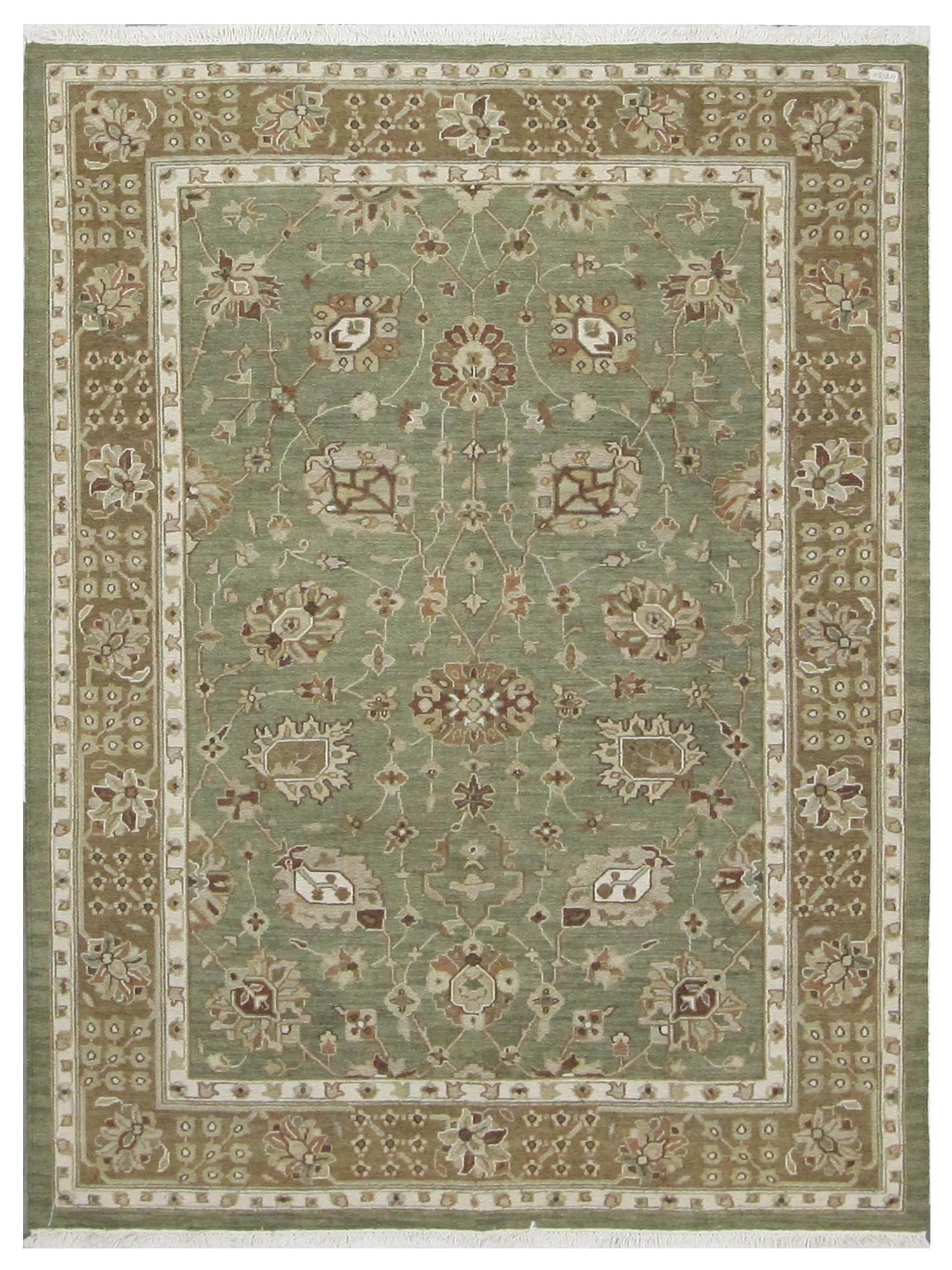 Pacific Summak  Lime Camel Traditional